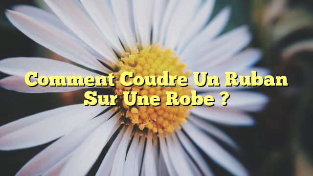 Comment Coudre Un Ruban Sur Une Robe ?