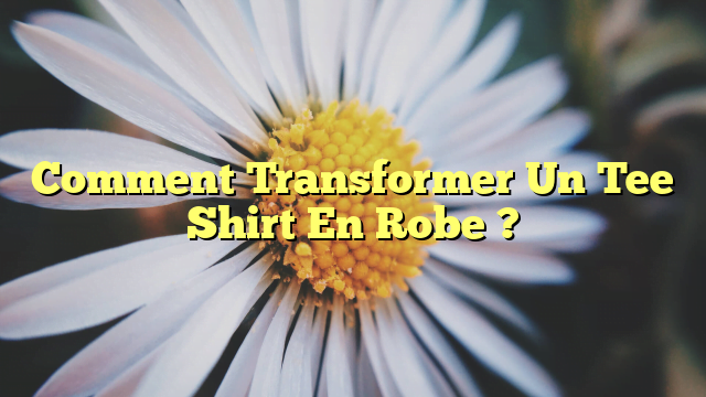 Comment Transformer Un Tee Shirt En Robe ?