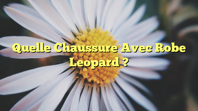 Quelle Chaussure Avec Robe Leopard ?