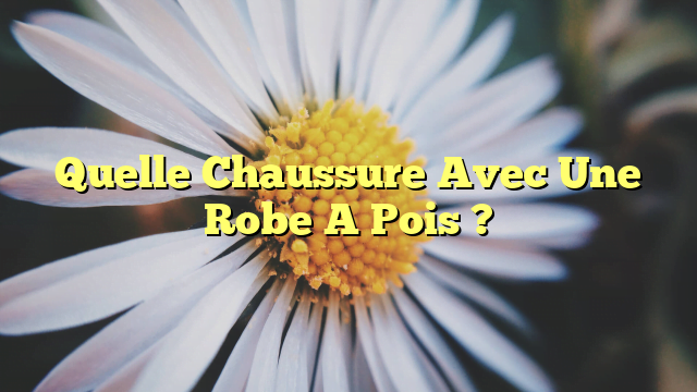 Quelle Chaussure Avec Une Robe A Pois ?