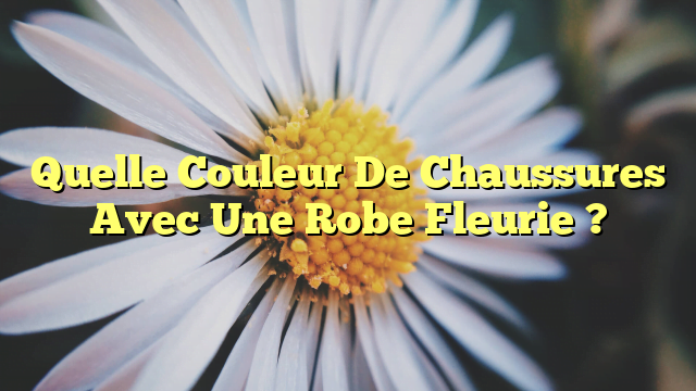Quelle Couleur De Chaussures Avec Une Robe Fleurie ?