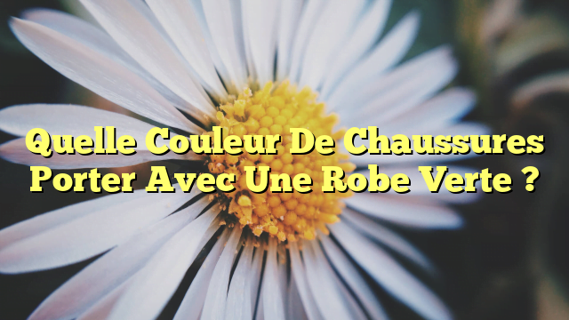 Quelle Couleur De Chaussures Porter Avec Une Robe Verte ?