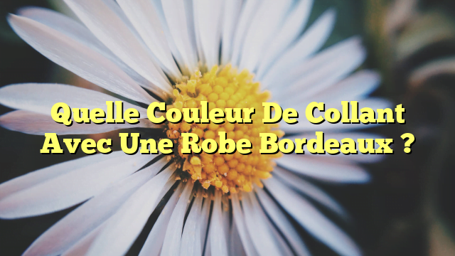 Quelle Couleur De Collant Avec Une Robe Bordeaux ?