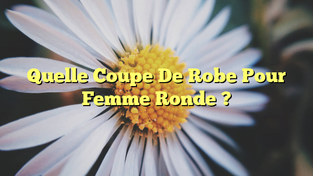 Quelle Coupe De Robe Pour Femme Ronde ?