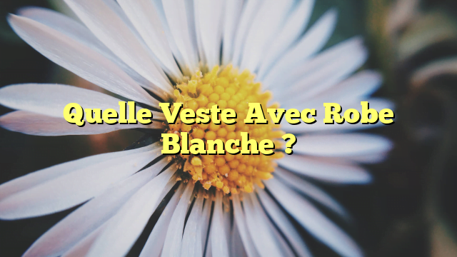 Quelle Veste Avec Robe Blanche ?