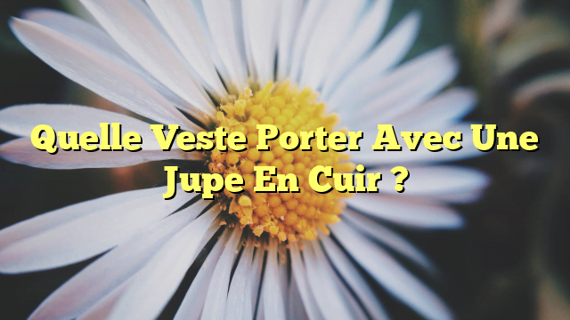 Quelle Veste Porter Avec Une Jupe En Cuir ?