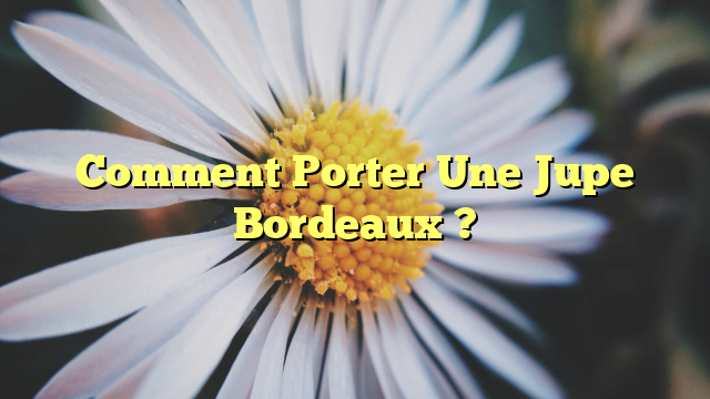 Comment Porter Une Jupe Bordeaux ?