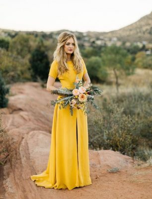 Quelle Robe Choisir ?