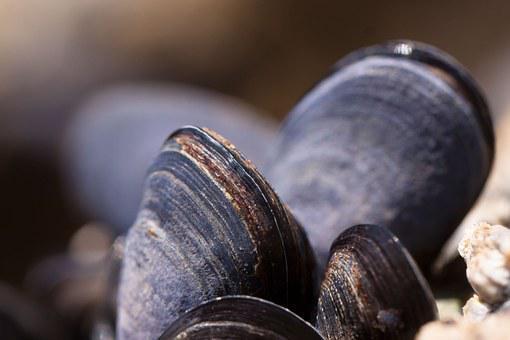 Comment Porter Une Jupe Noire Moulante ?