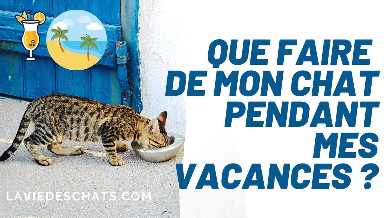 Que Faire A La Maison Pendant Les Vacances ?