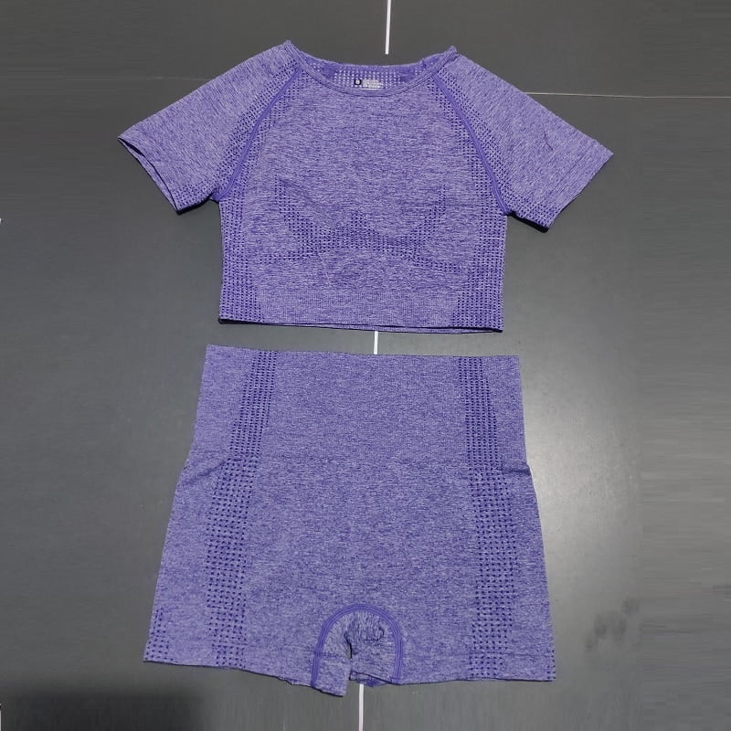 Ensemble de yoga taille haute sans couture pour femme, vêtements de sport, haut de fitness, chemise à manches courtes, short, olympiques de sport, vêtements athlétiques, ensemble de 2 pièces 2